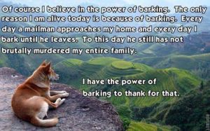 Power of a barking dog